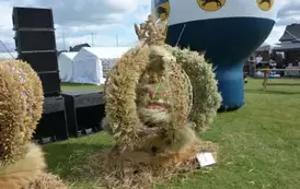 Dożynki Powiatowo-Gminne 2025 w Borzytuchomiu 63