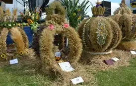 Dożynki Powiatowo-Gminne 2025 w Borzytuchomiu 65