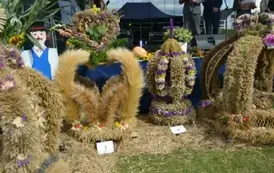 Dożynki Powiatowo-Gminne 2025 w Borzytuchomiu 68