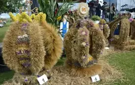 Dożynki Powiatowo-Gminne 2025 w Borzytuchomiu 69