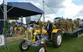 Dożynki Powiatowo-Gminne 2025 w Borzytuchomiu 80