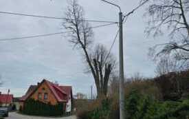 Informacja o planowanej wycince konar&oacute;w w Chotkowie 1