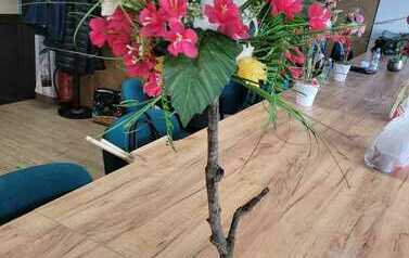 IMG-20230502-WA0004