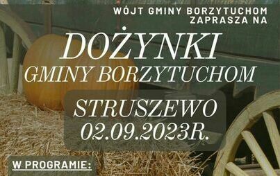 Zdjęcie do Dożynki Gminy Borzytuchom