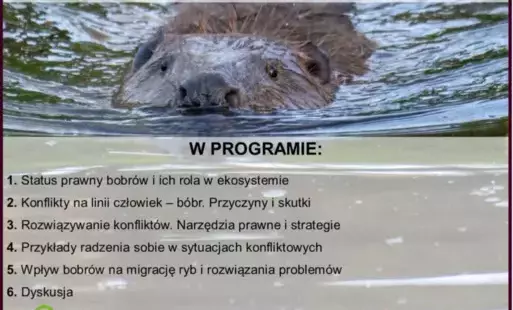 Zdjęcie artykułu z dnia 22-05-2025