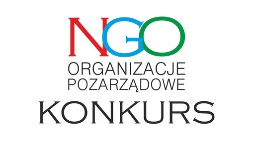 NGO - infografika