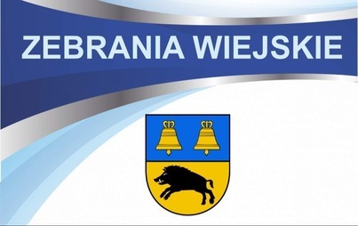 Zebranie wiejskie -  grafika